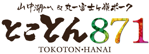 山中湖ハム＆丸一富士ヶ嶺ポーク　とことん871